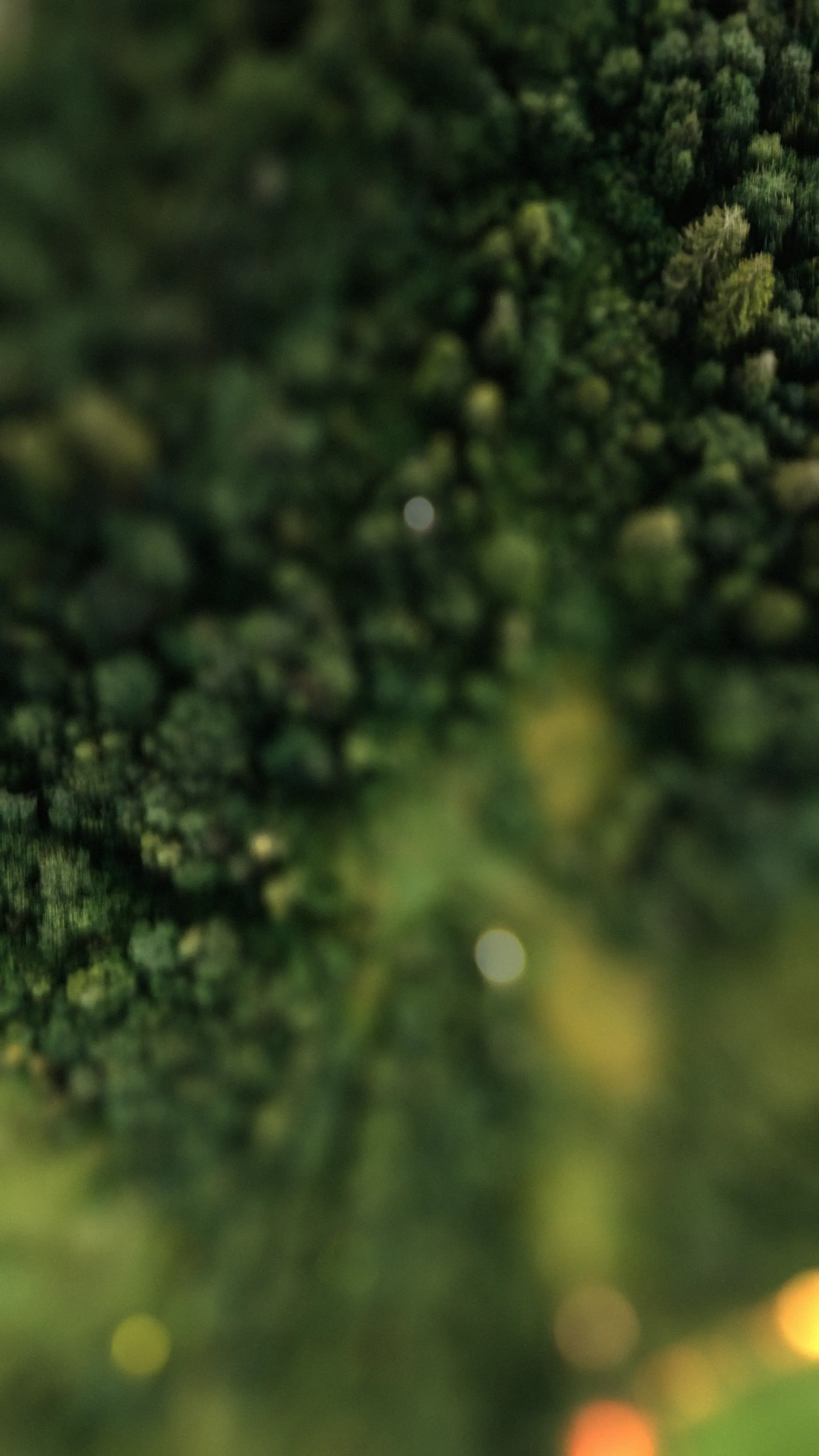 Atmospheric background image